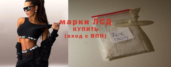 прущие грибы Абинск