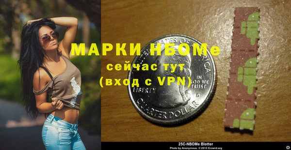 прущие грибы Абинск