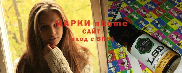 прущие грибы Абинск