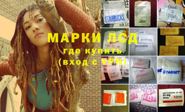 прущие грибы Абинск