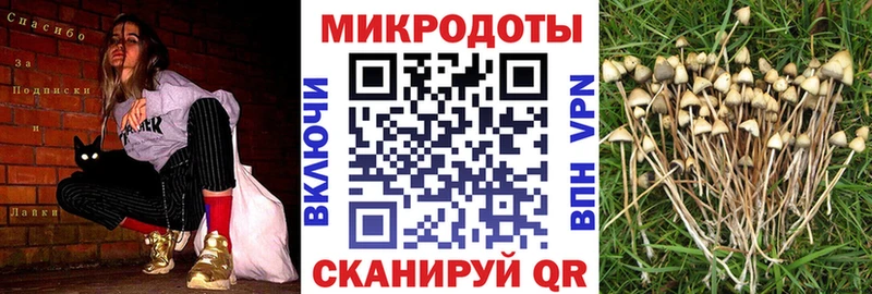 Галлюциногенные грибы MAGIC MUSHROOMS мега ссылка Зеленодольск